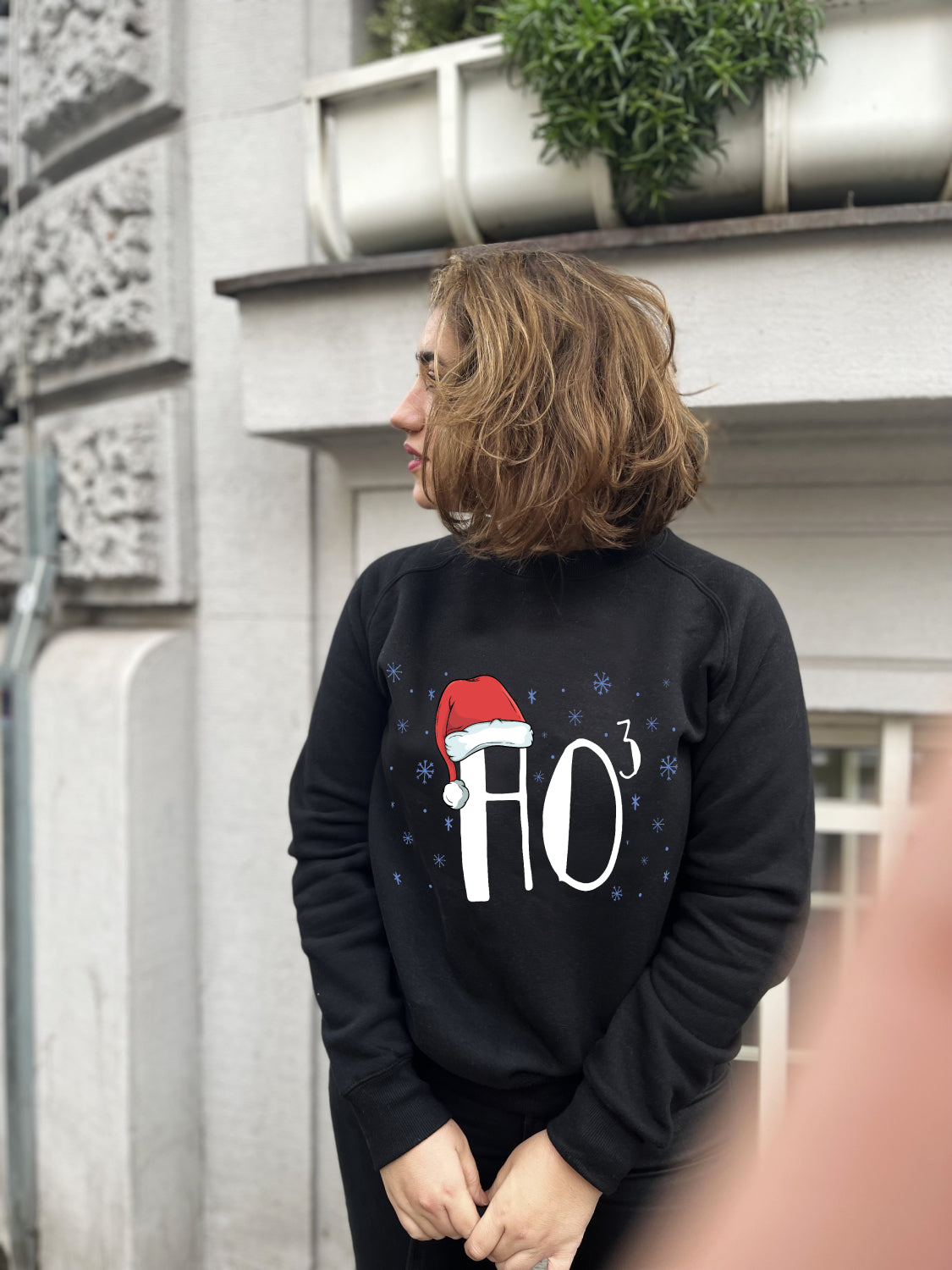 Sweatshirt - HO3