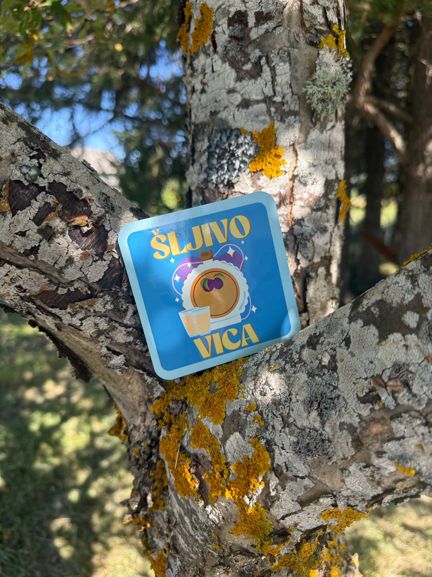 Set x6 podmetača - Summer in Croatia
