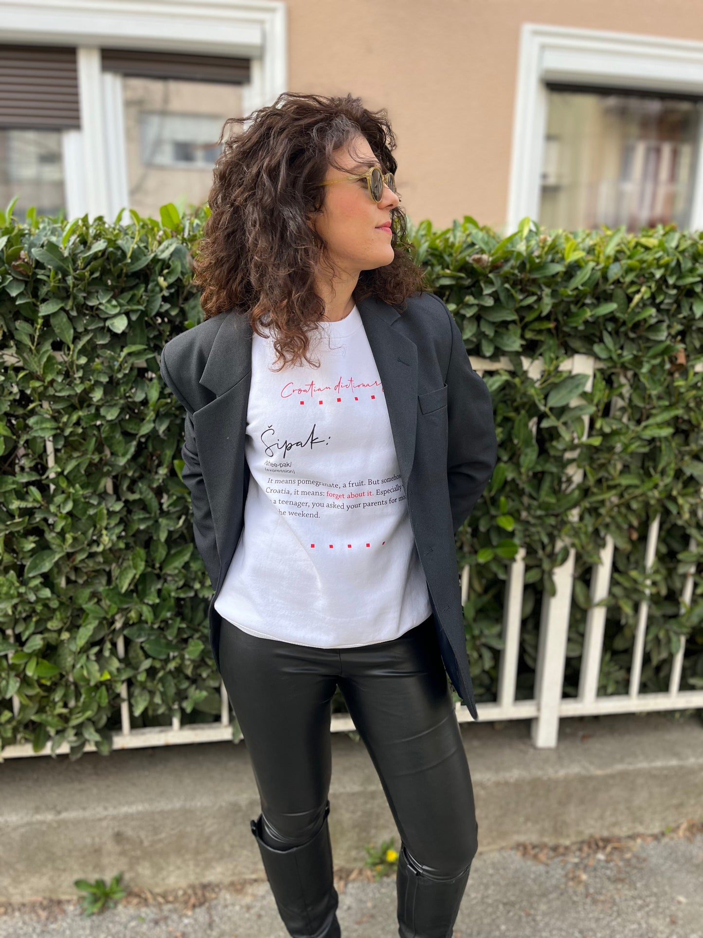 Sweatshirt - Croatian dictionary - Šipak