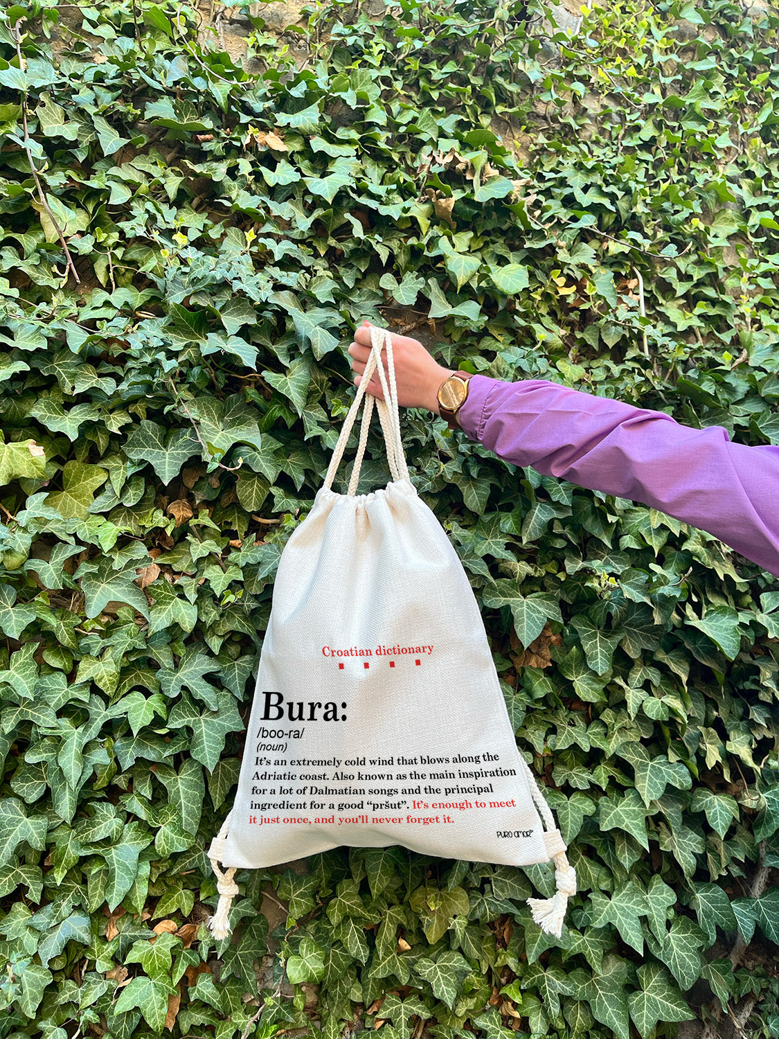 Ruksak - Croatian dictionary - Bura