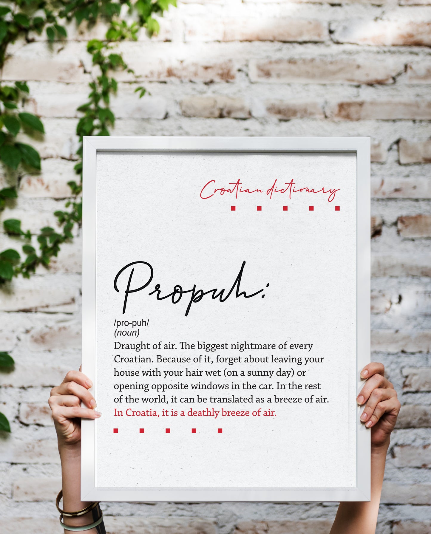Poster - Croatian dictionary - Propuh